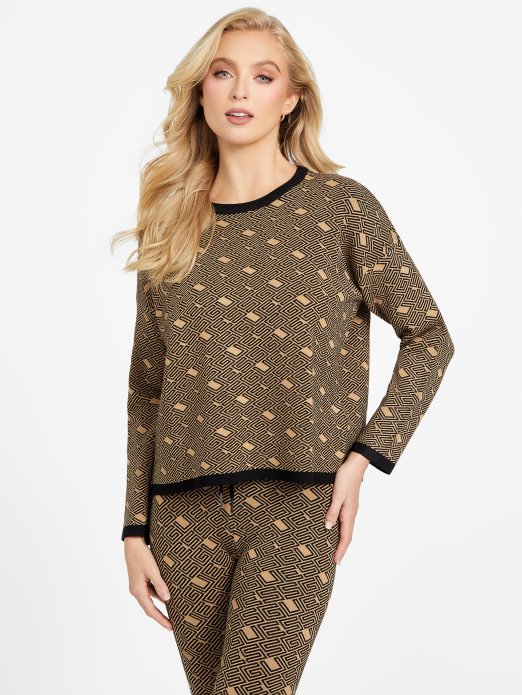 Eco Boxy Cachet Džemper Guess Shopping Tost Taupe Multi