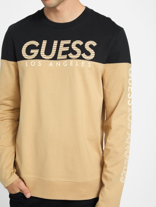 Toasted Taupe Guess Shopping Eko Zioin Color-block Majica Dugih Rukava