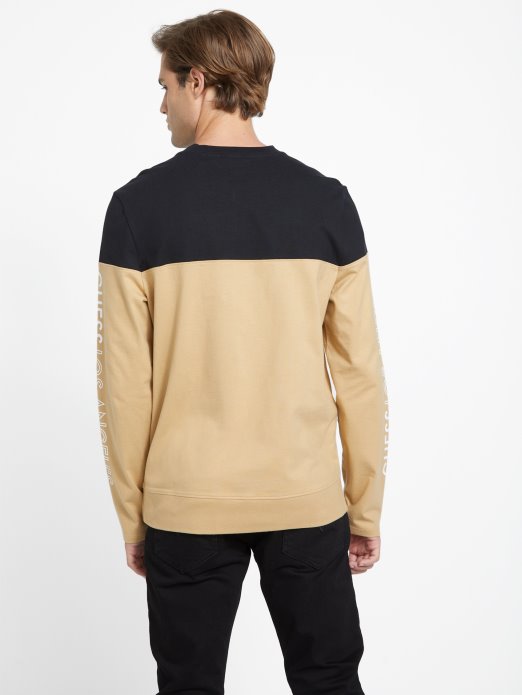 Toasted Taupe Guess Shopping Eko Zioin Color-block Majica Dugih Rukava